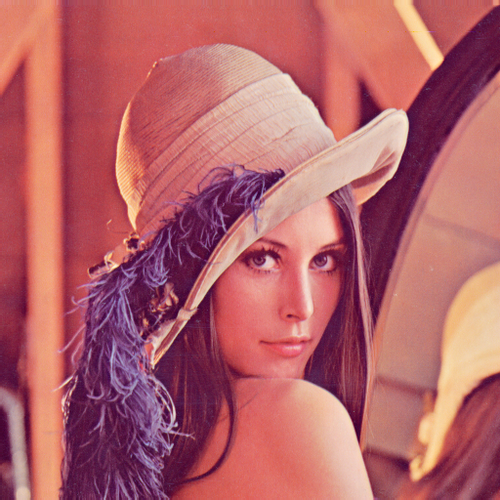 Photo of Lena Forsén